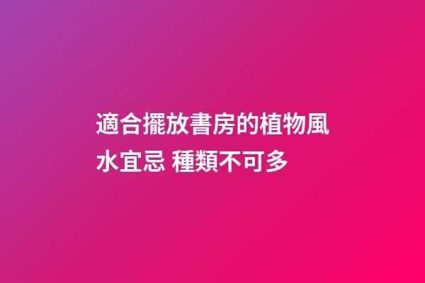 適合擺放書房的植物風水宜忌 種類不可多
